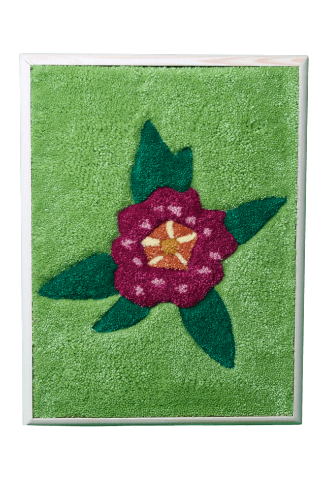 Primevère des Jardins 