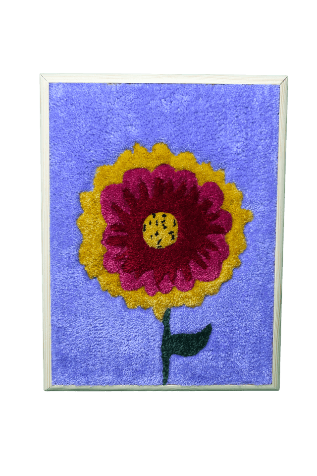 Gaillardia Pulchella 